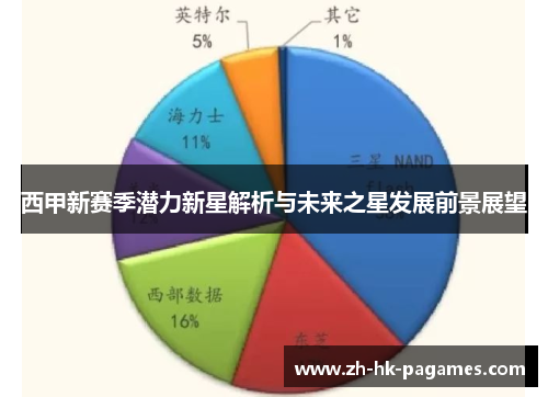 西甲新赛季潜力新星解析与未来之星发展前景展望 西甲新赛季潜力新星解析与未来之星发展前景展望