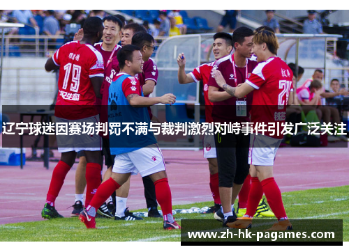 辽宁球迷因赛场判罚不满与裁判激烈对峙事件引发广泛关注