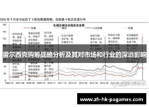 雷尔西克购筹战略分析及其对市场和行业的深远影响