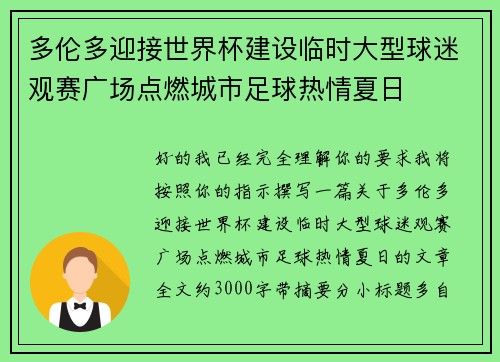 多伦多迎接世界杯建设临时大型球迷观赛广场点燃城市足球热情夏日