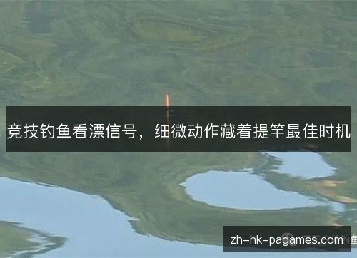 竞技钓鱼看漂信号，细微动作藏着提竿最佳时机